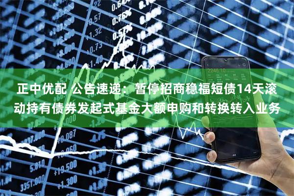 正中优配 公告速递：暂停招商稳福短债14天滚动持有债券发起式基金大额申购和转换转入业务