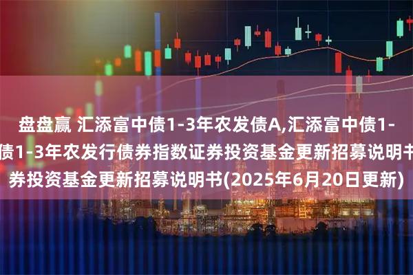 盘盘赢 汇添富中债1-3年农发债A,汇添富中债1-3年农发债C: 汇添富中债1-3年农发行债券指数证券投资基金更新招募说明书(2025年6月20日更新)
