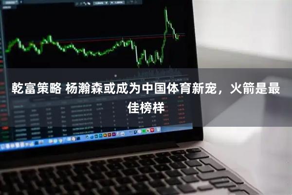 乾富策略 杨瀚森或成为中国体育新宠，火箭是最佳榜样