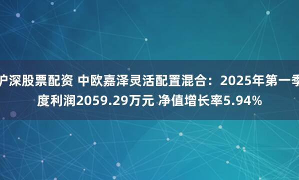 沪深股票配资 中欧嘉泽灵活配置混合：2025年第一季度利润2059.29万元 净值增长率5.94%