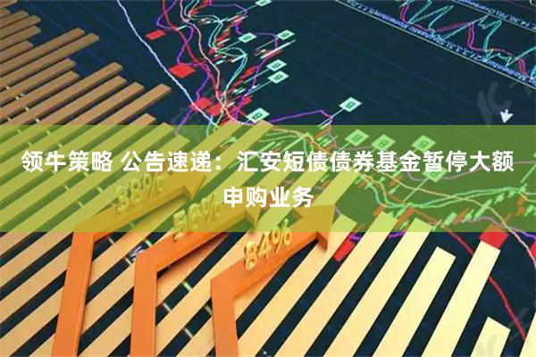 领牛策略 公告速递：汇安短债债券基金暂停大额申购业务