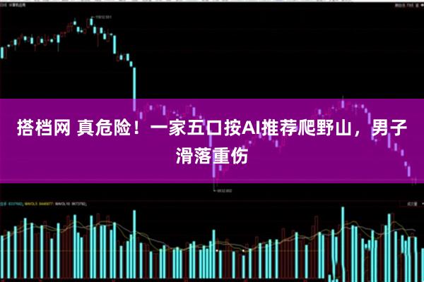 搭档网 真危险!一家五口按AI推荐爬野山,男子滑落重伤