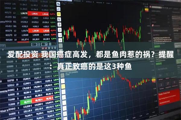 爱配投资 我国癌症高发,都是鱼肉惹的祸?提醒:真正致癌的是这3种鱼