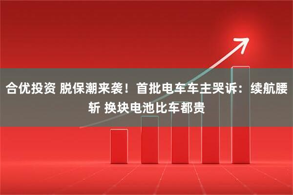 合优投资 脱保潮来袭！首批电车车主哭诉：续航腰斩 换块电池比车都贵